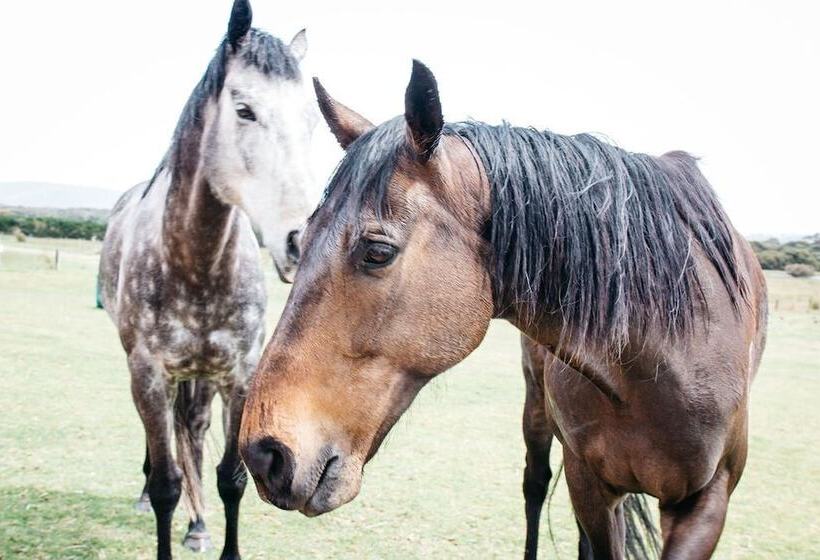فندق Majuba Country Lodge