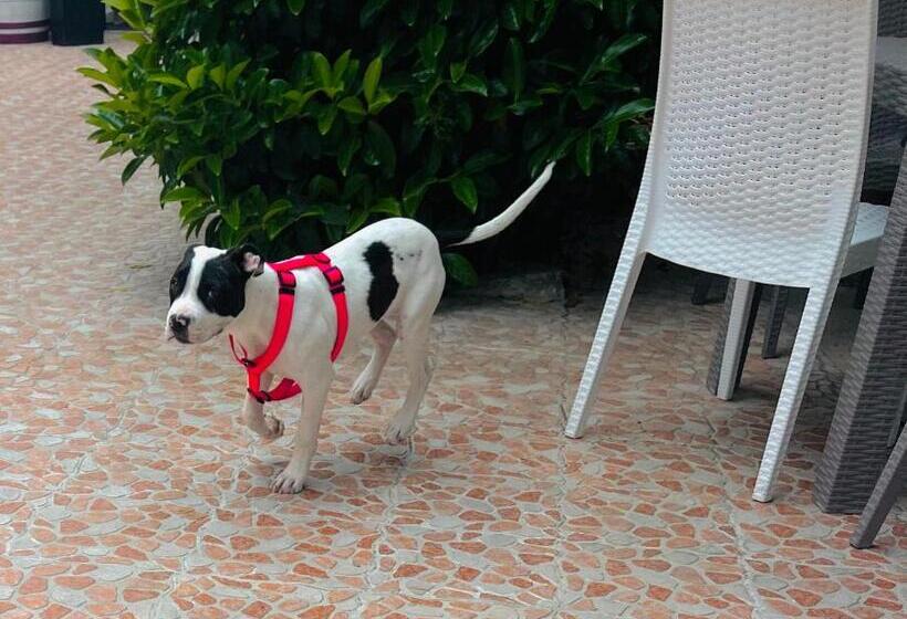 فندق Piccolo Paradiso Del Gargano