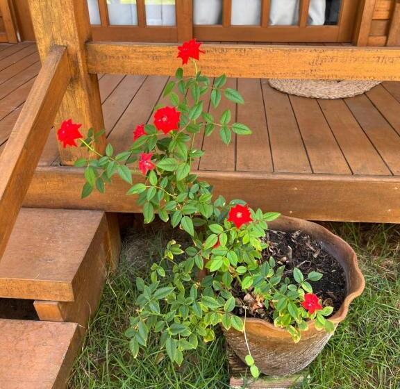 酒店 Pousada Bangalôs Sol De Lagoinha