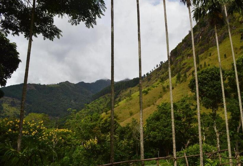 בית מלון כפרי The Lodge At Galapitiyaya Estate