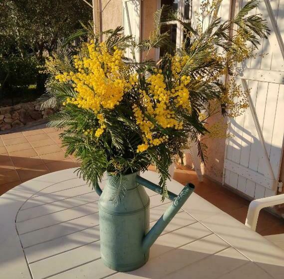 Les Terrasses B&b Avec Piscine Privée