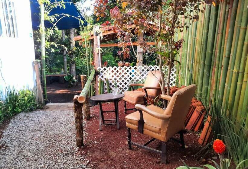 膳宿费 Casa Machtiani