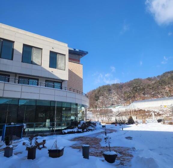 אתר נופש Birch Stay & Life With Dog