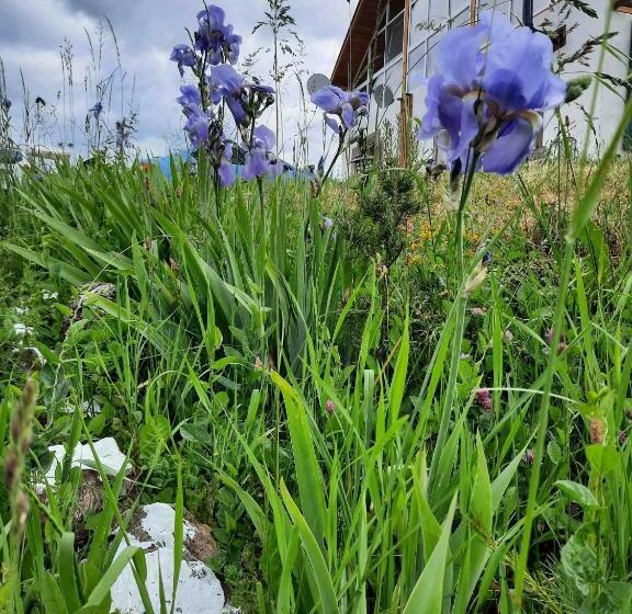 ベッドアンドブレックファースト Agroturism Bori