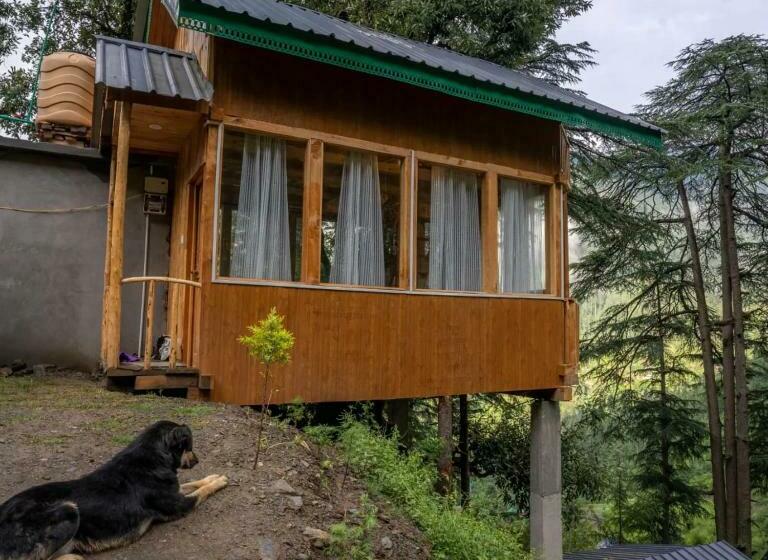 مبيت وإفطار Cliff Haven Treehouse & Cottages Jibhi
