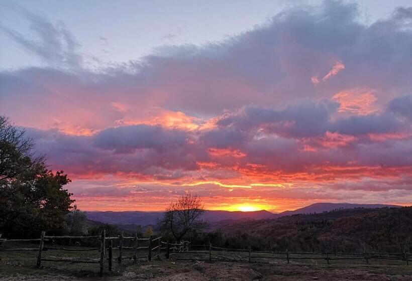 مبيت وإفطار Il Canto Dell Asino