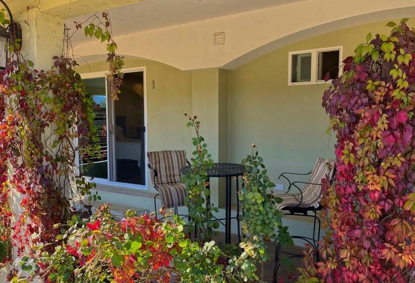 مبيت وإفطار Mi Casa En El Valle De Guadalupe