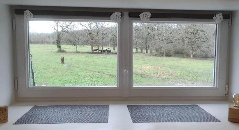 Gîte Les Grandes Maisons Cœur Forêt D Orléans Et Espace Bien être Jacuzzi Hammam Spa