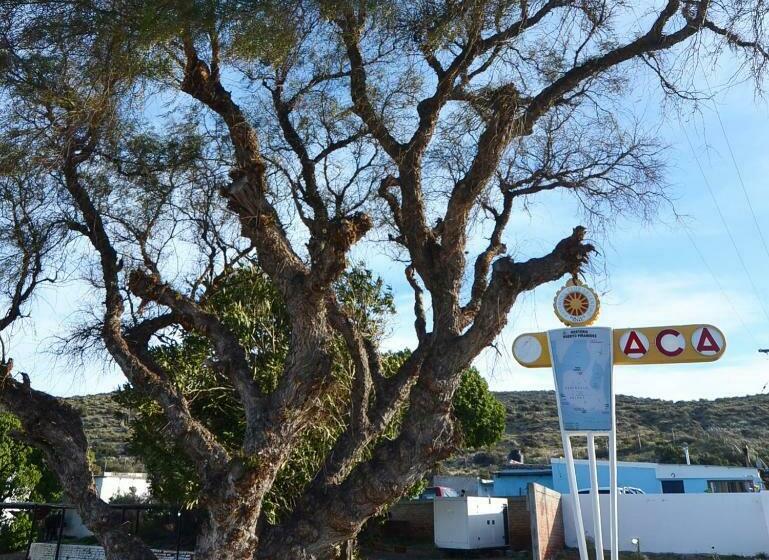 فندق A.c.a. Puerto Pirámides