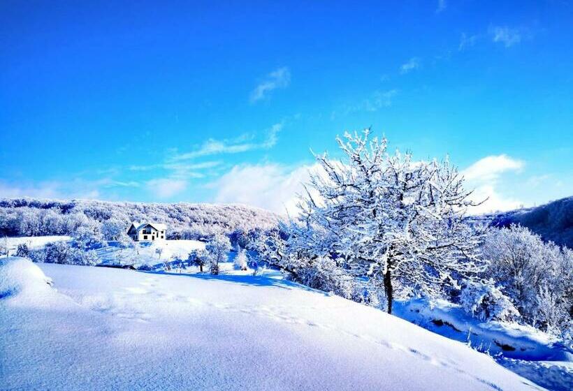 Отель Agropensiunea Floare De Tei