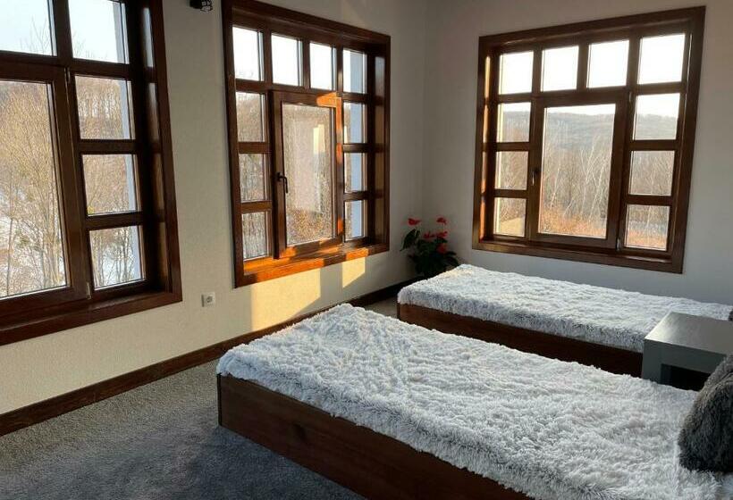 Отель Agropensiunea Floare De Tei