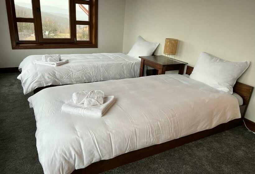 Отель Agropensiunea Floare De Tei