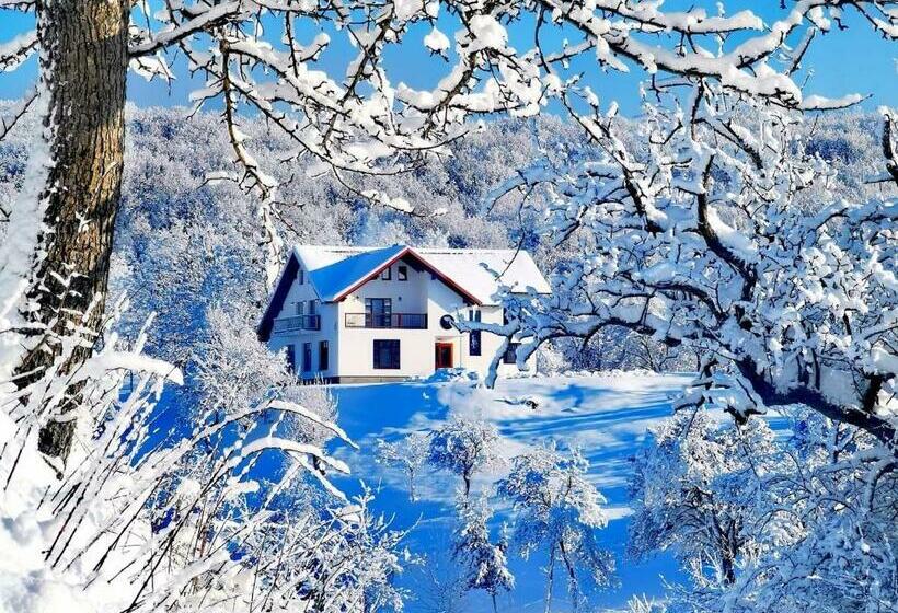 Отель Agropensiunea Floare De Tei