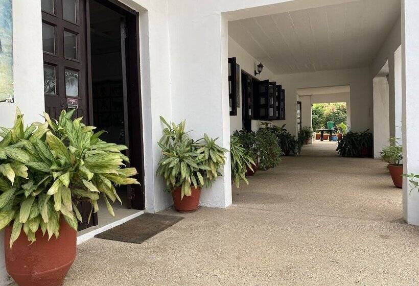 هتل Casablanca Guest Inn