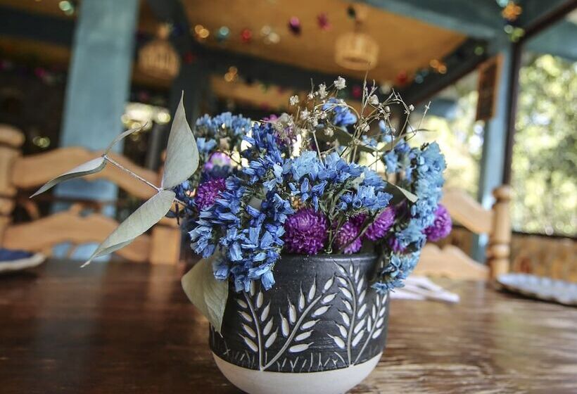 酒店 Huayápam Yù ú Lodge