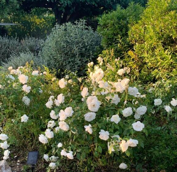 هتل Podere Gradisca