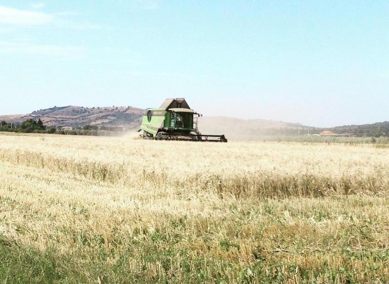 هتل Podere Gradisca