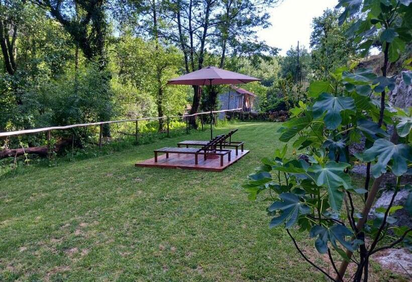 Отель Quinta Das Bollótâs