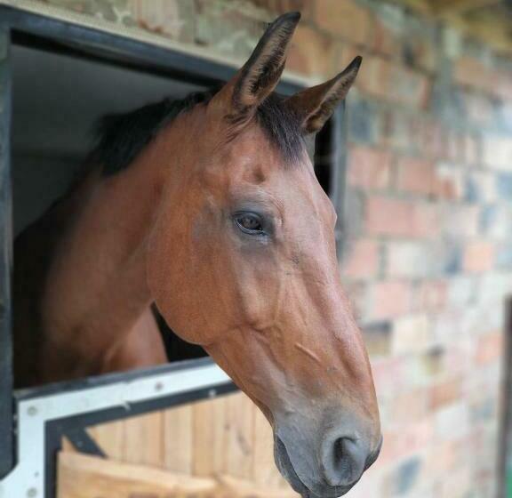 فندق Ranczo Popowice