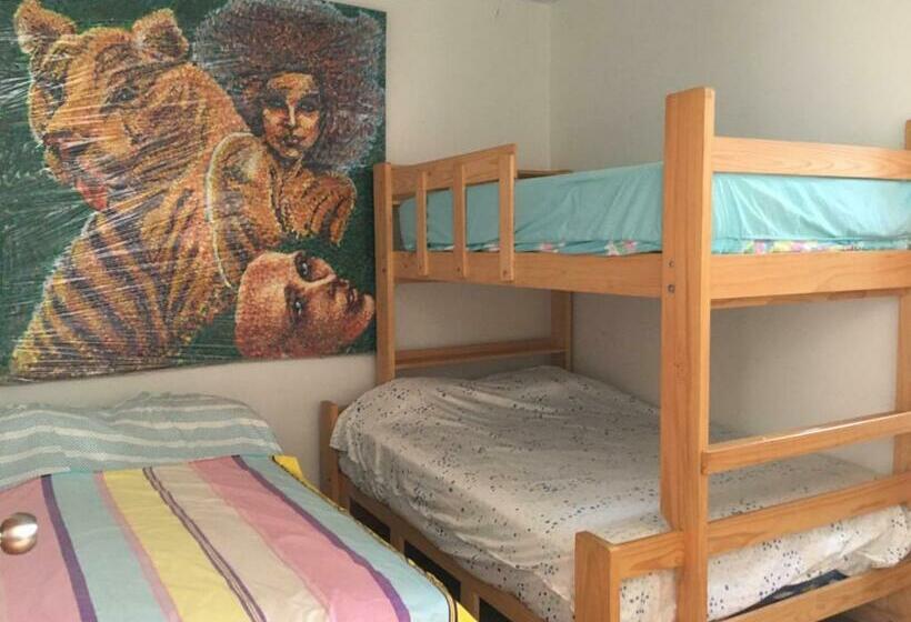 膳宿费 Hospedaje Los Lobos