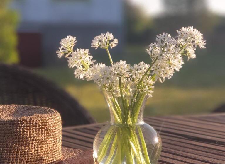 Ronehamn Bed And Breakfast