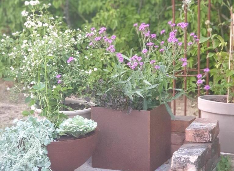 Ronehamn Bed And Breakfast