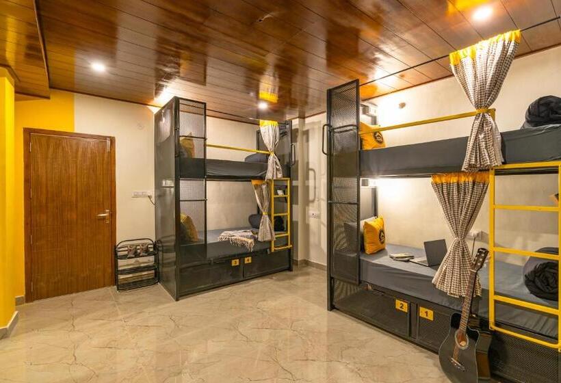 The Hosteller Kasol, Parvati Valley