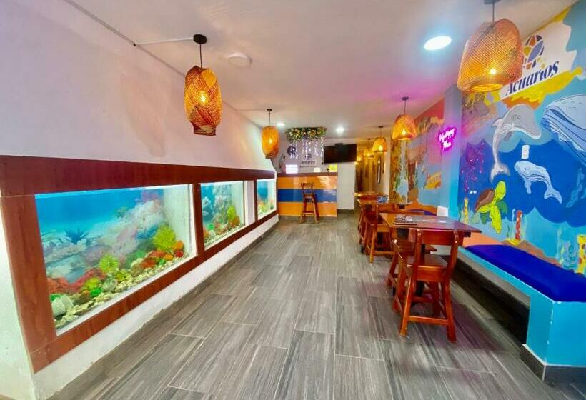 هاستل Acuarios Hostal