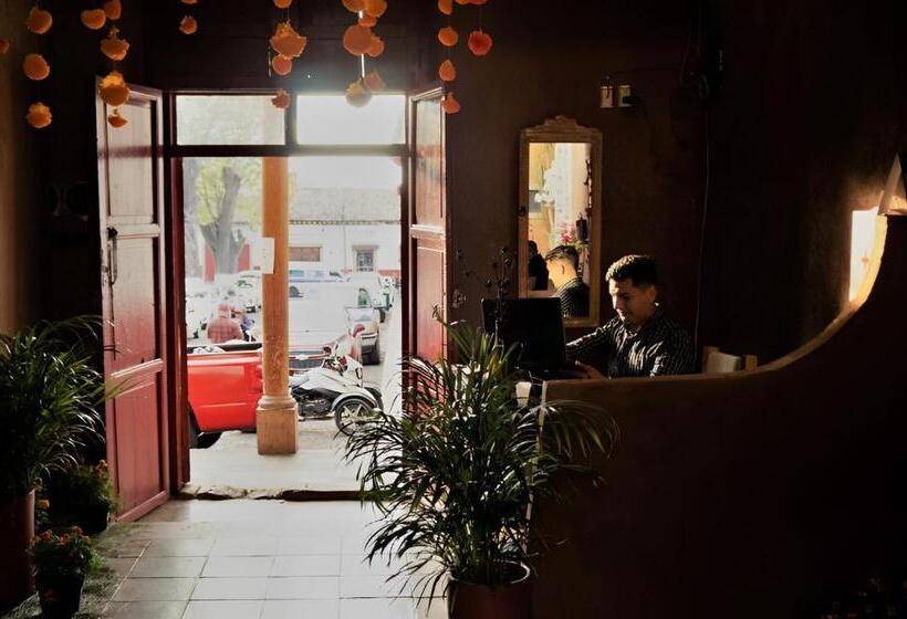 호스텔 Posada El Palomar