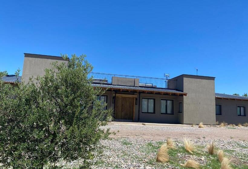 هاستل Boutique Miss Olivos