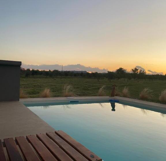 هاستل Boutique Miss Olivos