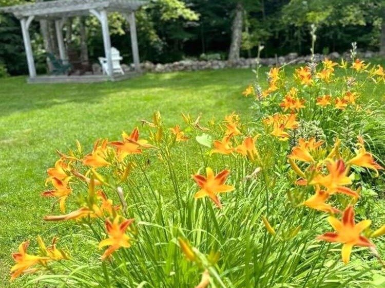 ユースホステル Sugar Maple Inn