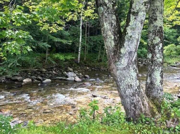 ユースホステル Sugar Maple Inn