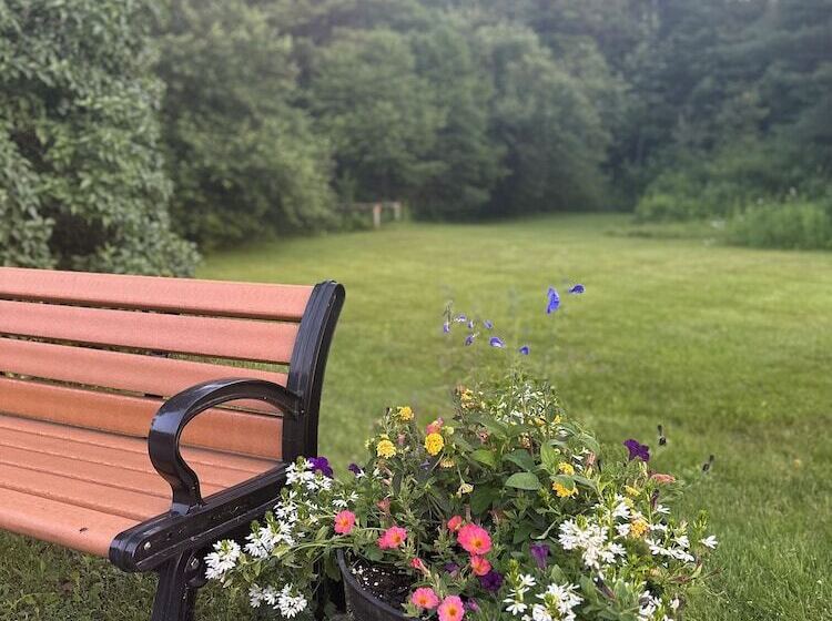 ユースホステル Sugar Maple Inn