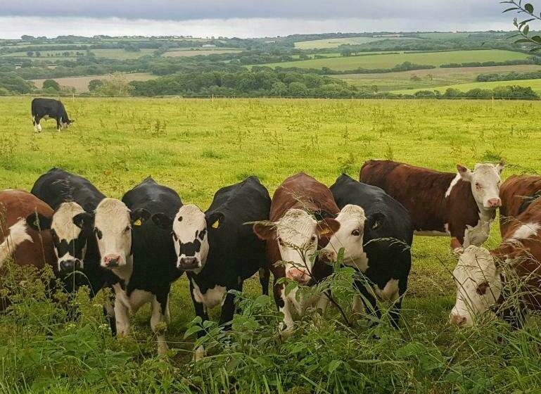 ベッドアンドブレックファースト Appleton House