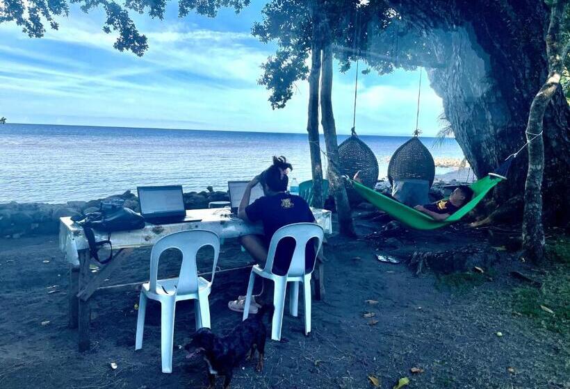 تختخواب و صبحانه Borbon S Treehouse By The Sea