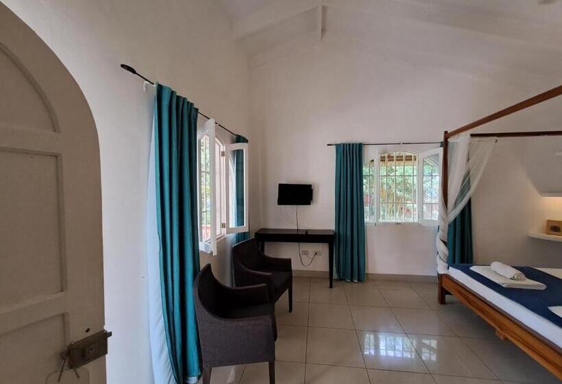 Bed and Breakfast Casa Mapache