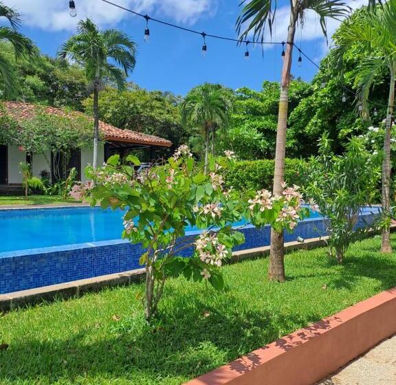 Bed and Breakfast Casa Mapache