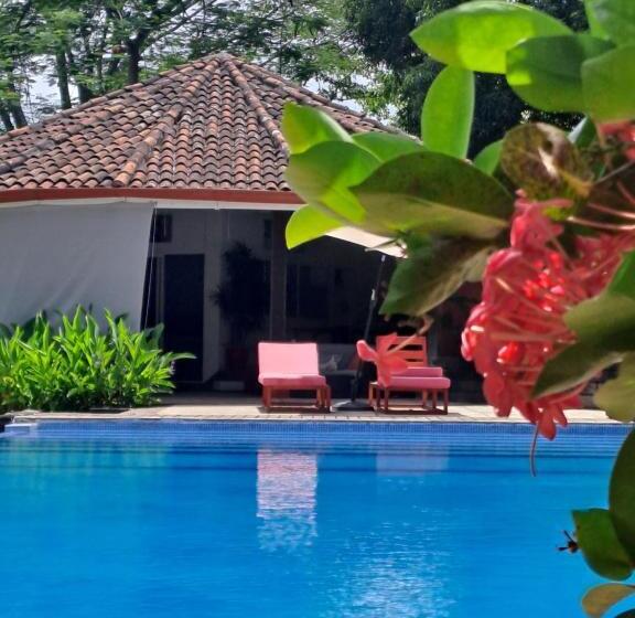 Bed and Breakfast Casa Mapache