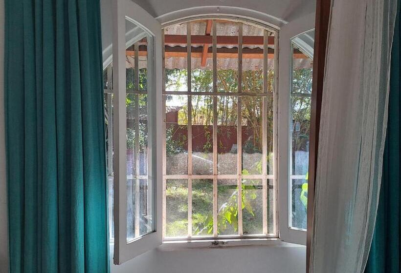 Bed and Breakfast Casa Mapache