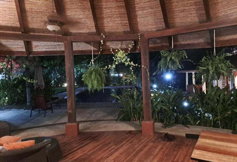 Bed and Breakfast Casa Mapache