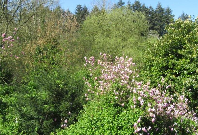 צימר Chambres D Hôtes De La Templerie Moulin