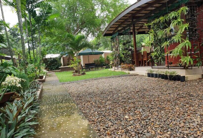 تختخواب و صبحانه Diakopes Inn