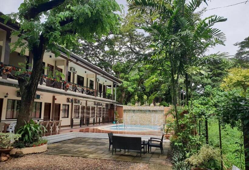 تختخواب و صبحانه Diakopes Inn