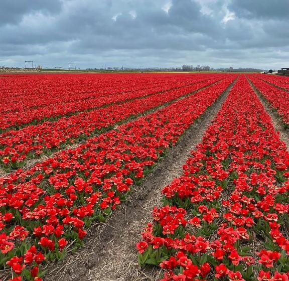 Bed And Breakfast Geliefd