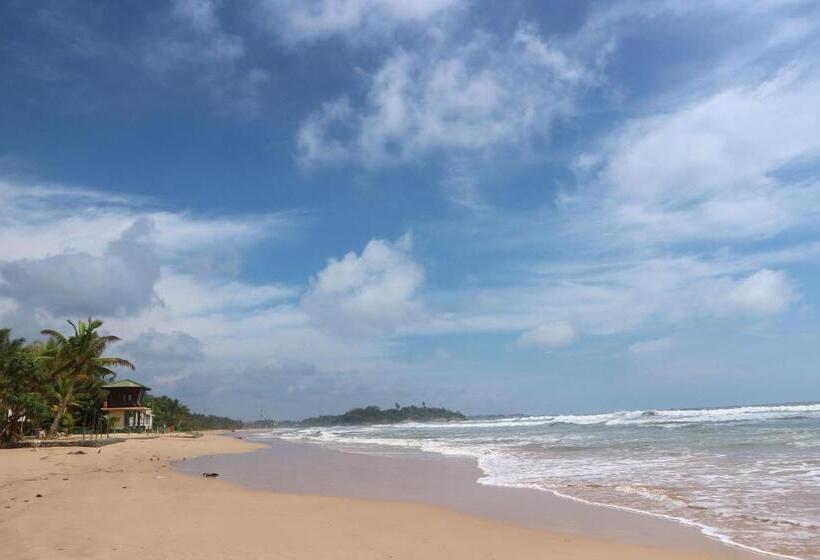 민박 Mango Tree House