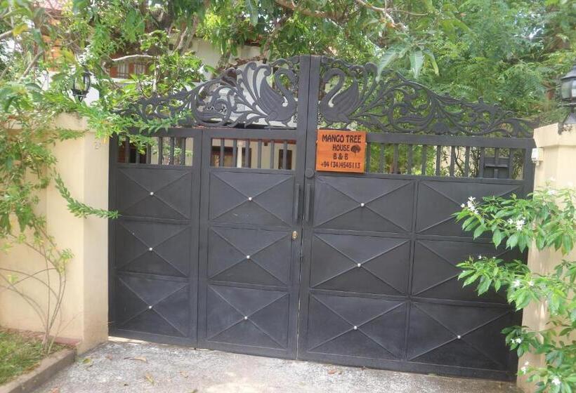 민박 Mango Tree House