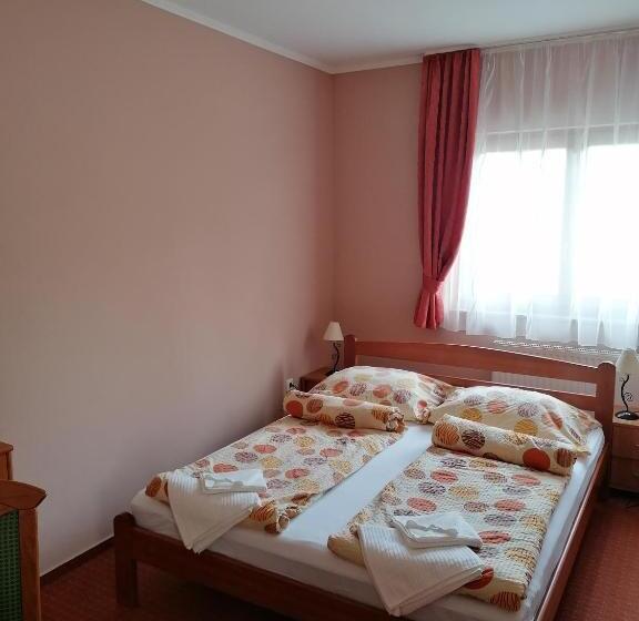 住宿加早餐 Medgyaszay Panzió