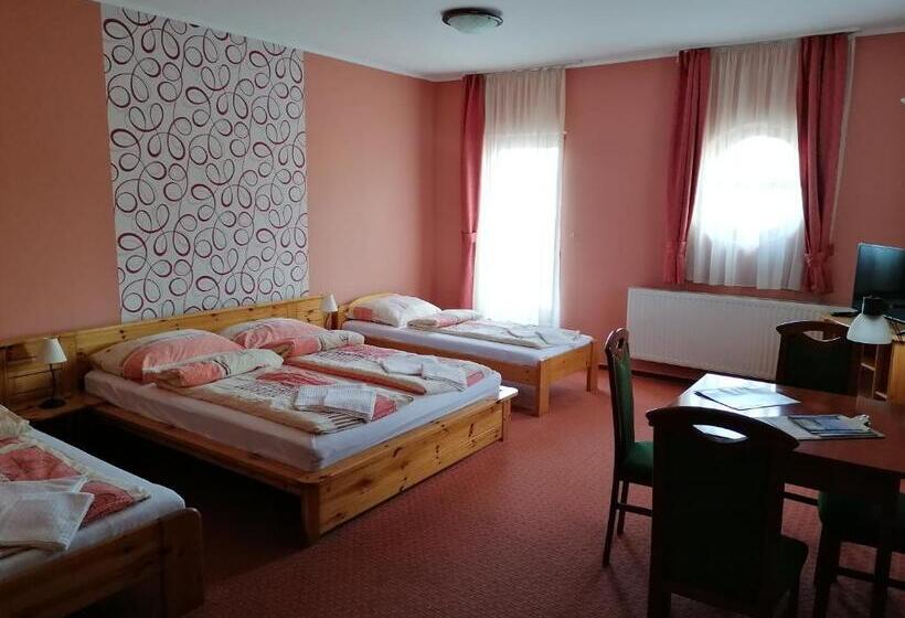 住宿加早餐 Medgyaszay Panzió