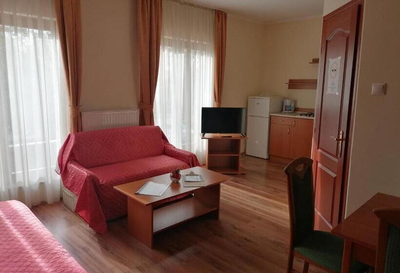 住宿加早餐 Medgyaszay Panzió